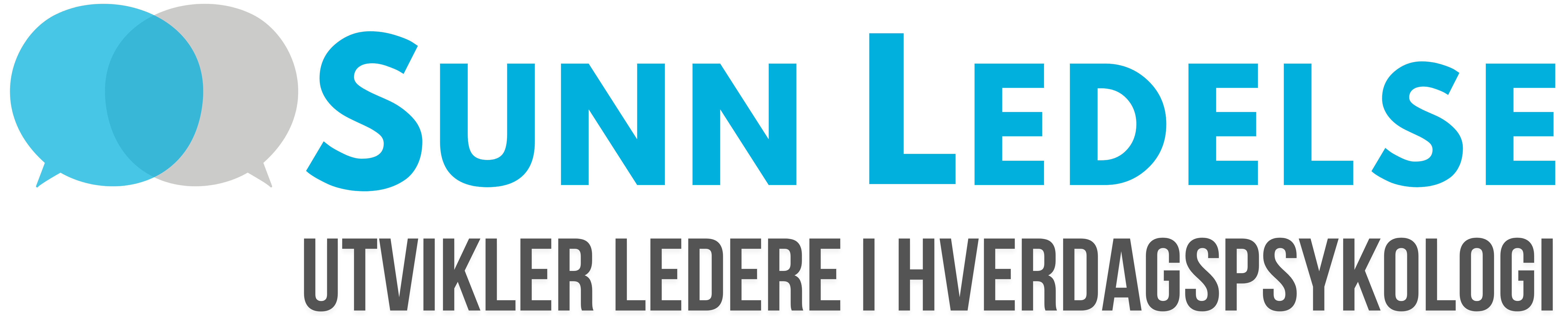 Sunn Ledelse